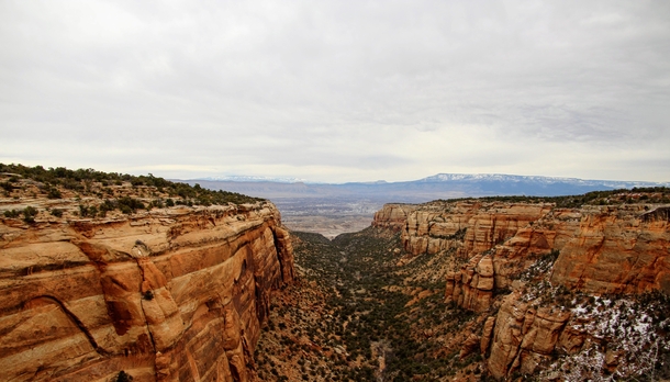 I took this photo of a beautiful canyon at the Colorado national monument the other day 