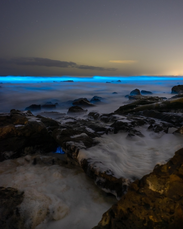 I was in awe with how it beautiful the bioluminescent waves were in La Jolla California  - Come support and inspire peoples wellbeing with your peaceful Photography at rMindfulPhotography
