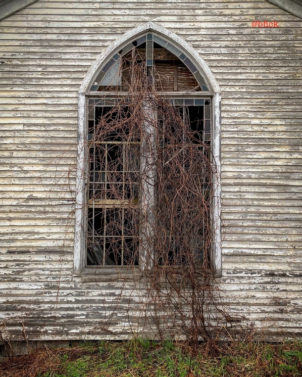 I was passing through Broome New York this afternoon after coming back from Cooperstown and found an old church for sale with overgrown vines through its once stained glass windows