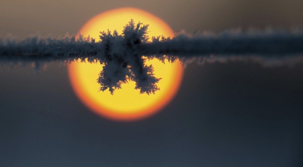 Ice crystals form a frosty fuzz on a barbed-wire fence  Hanover Germany 
