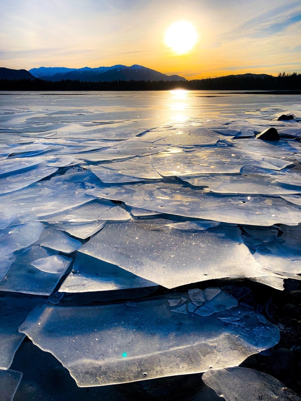 Ice shards on Mendenhall Lake Juneau AK X