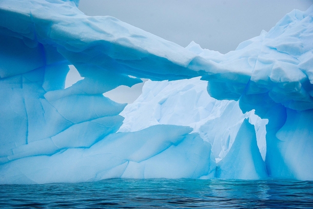 Iceberg in Antarctica   x 