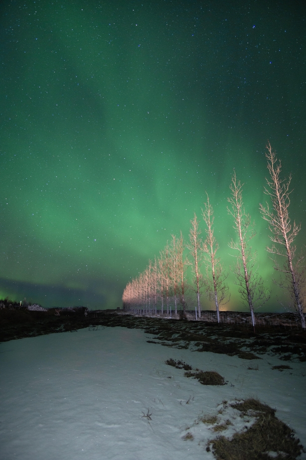 Icelandic sky at night 