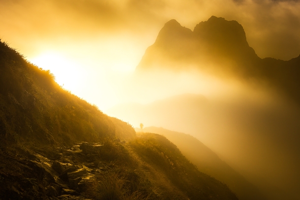 Incredible golden light while hiking New Zealands MacKinnon Pass 