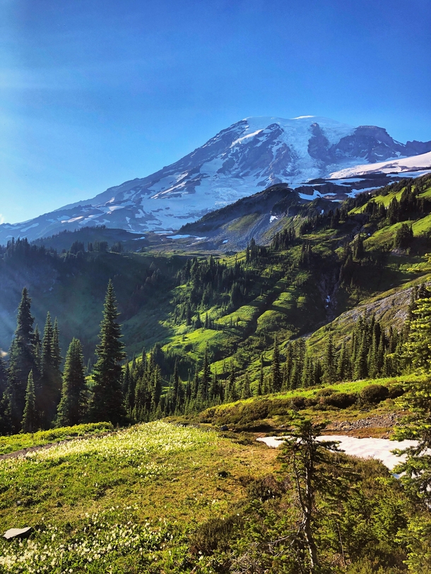 Incredible views and weather this weekend at Rainier Skyline Trail Mount Rainier National Park WA US 