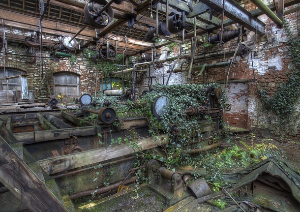 Inside the now overgrown Tone Mills Wellington Somerset United Kingdom   By Tim Knifton