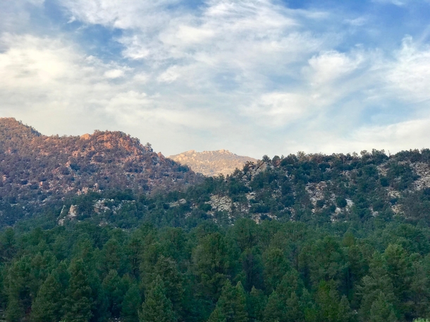 Inyo National Forest Sequoia Sierra Nevadas California 
