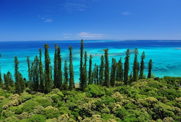 Isle of Pines New Caledonia 