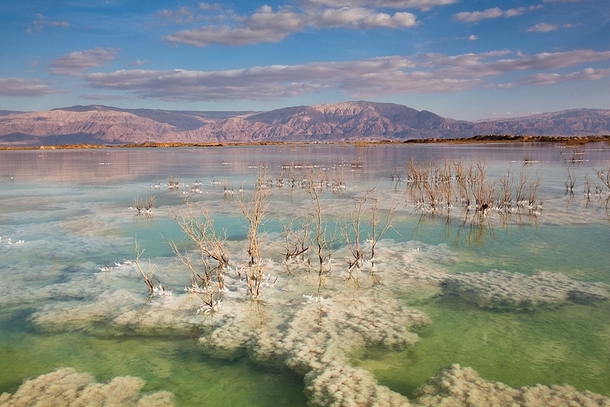 Israel Color and texture in the Dead Sea writes photographer Doron Nissim 