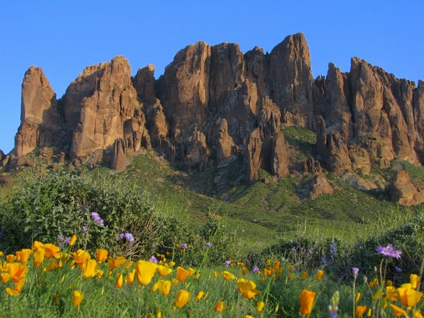 Its my cake day today and I have been wanting to share a picture here forever so I present Superstition Mountain in the spring time 