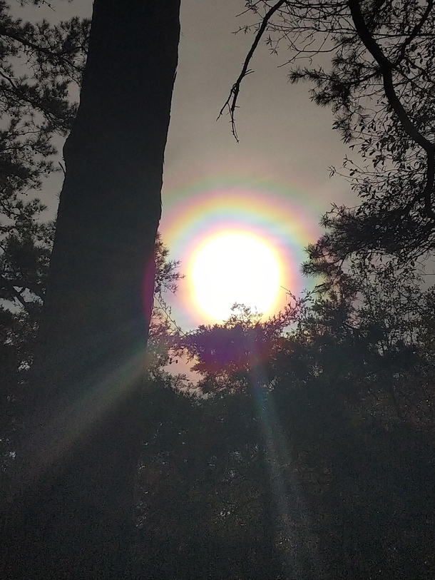 Ive seen some wild cloud iridescence before but this was just too freakin coolNovember   Carnesville GA