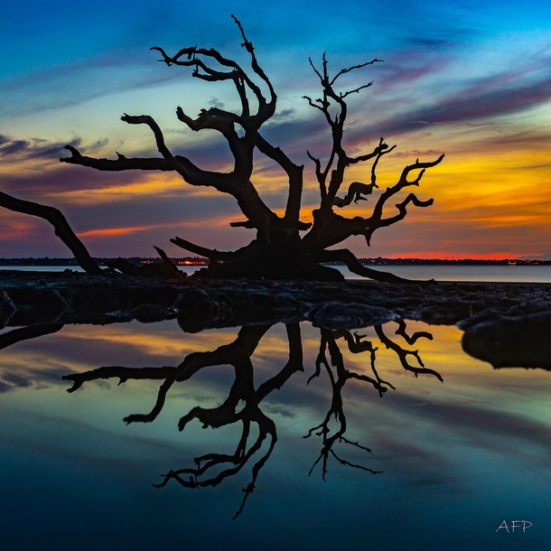 Jekyll Island sunrise  afordphotography
