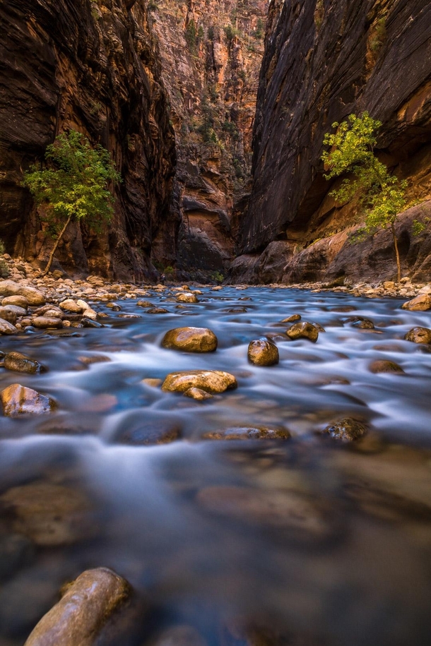 Just getting started with The Narrows Zion National Park UT 