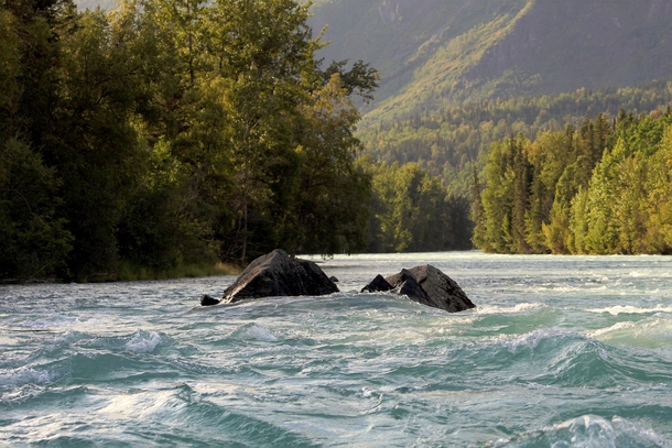 Kenai River Alaska 