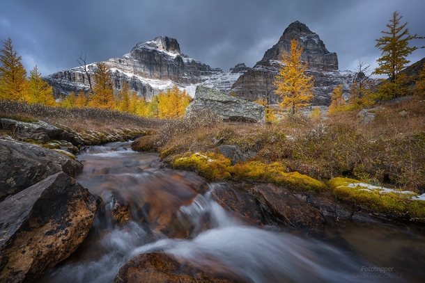 Larch Valley - Banff National Park Photographed by Gavin Hardcastle - Fototripper 