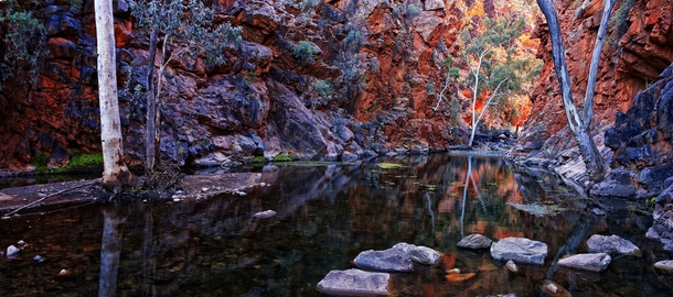 Late afternoon light in Serpentine Gorge in West McDonnells NT Australia by Lizzie 