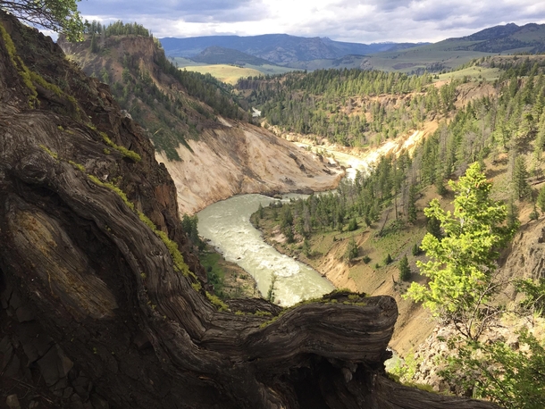 Late afternoon light over Yellowstone River in Yellowstone National Park CO x