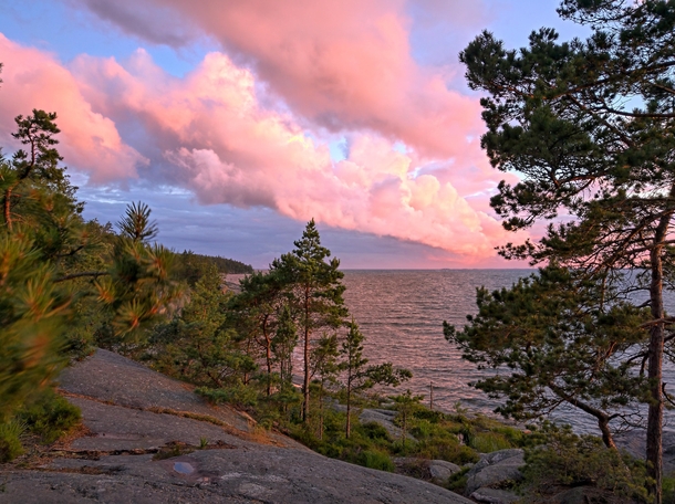Late evening in Porkkala wilderness Finland  at  The Baltic Sea looking South 
