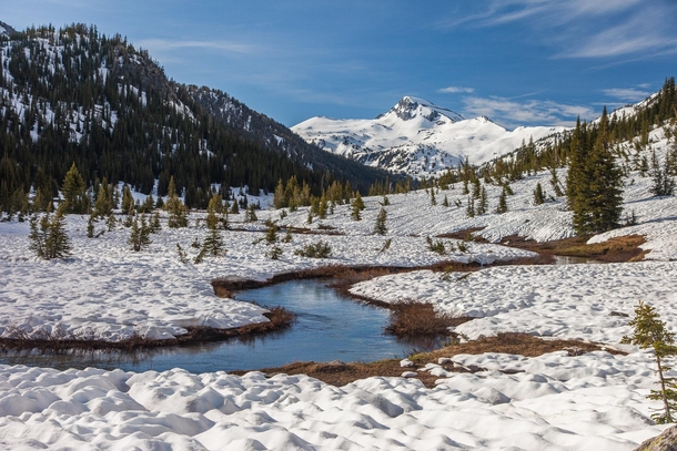 Late spring thaw Lostine Meadows Eagle Cap Wilderness OR 