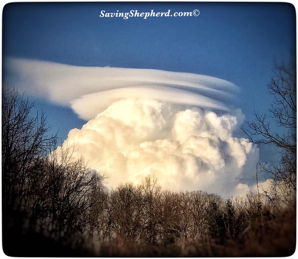 Lenticular cloud hovering over a Cumulonimbus cloud