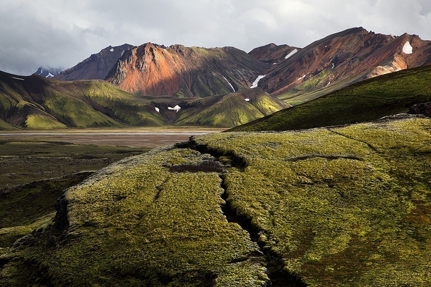 Lichen-covered rocks in Landmannalaugar Iceland  by John Freeman