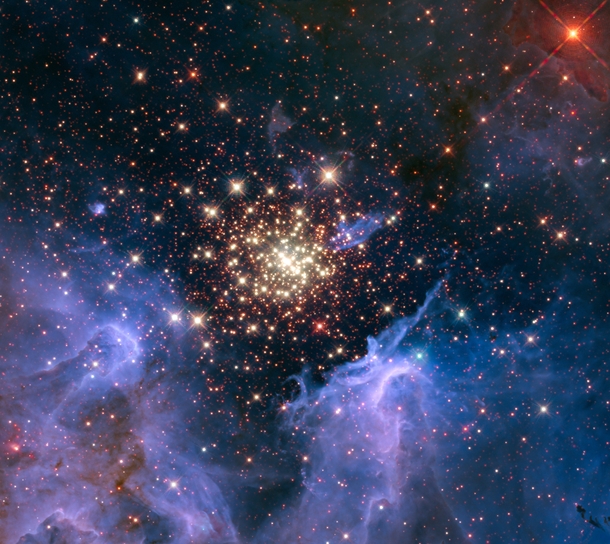 Like a fireworks display a young glittering collection of stars looks like an aerial burst The nebula located  light-years away in the constellation Carina contains a central cluster of huge hot stars called NGC  