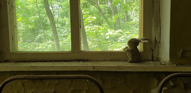 Little bunny in a kindergarten inside the Chernobyl zone
