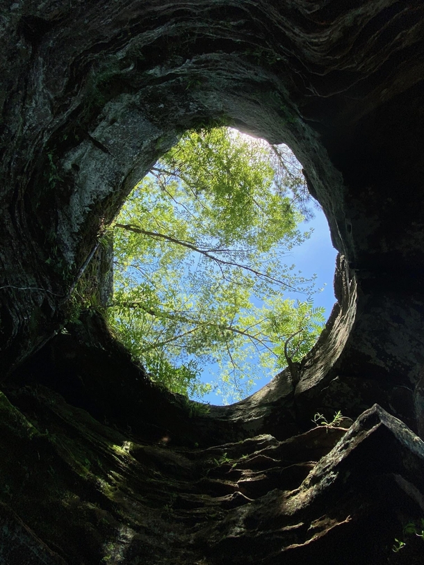 Looking up through a pothole on the Kettle River Banning State Park Sandstone MN 