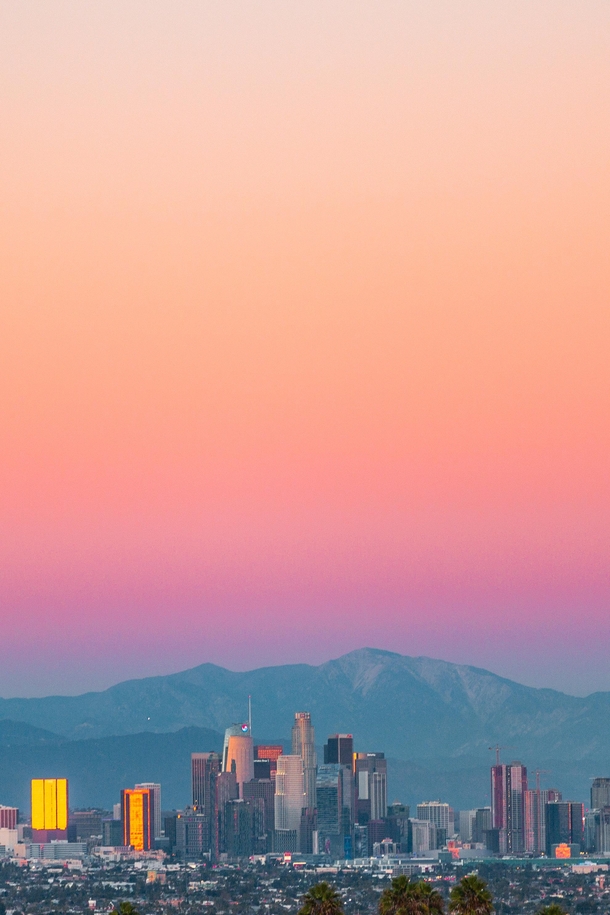Los Angeles Perfect Gradient Skyline 