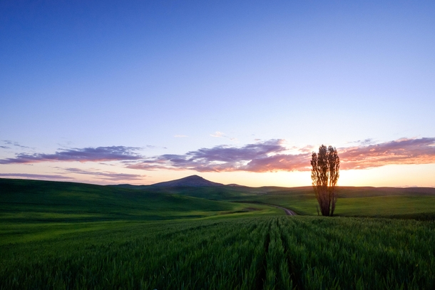 Lots of Photos of Cascade Mountains Here  But the Pacific Northwest has Plenty of Other Gorgeous Landscapes This is Sunset near Steptoe Butte in the Palouse Region of eastern Washington 