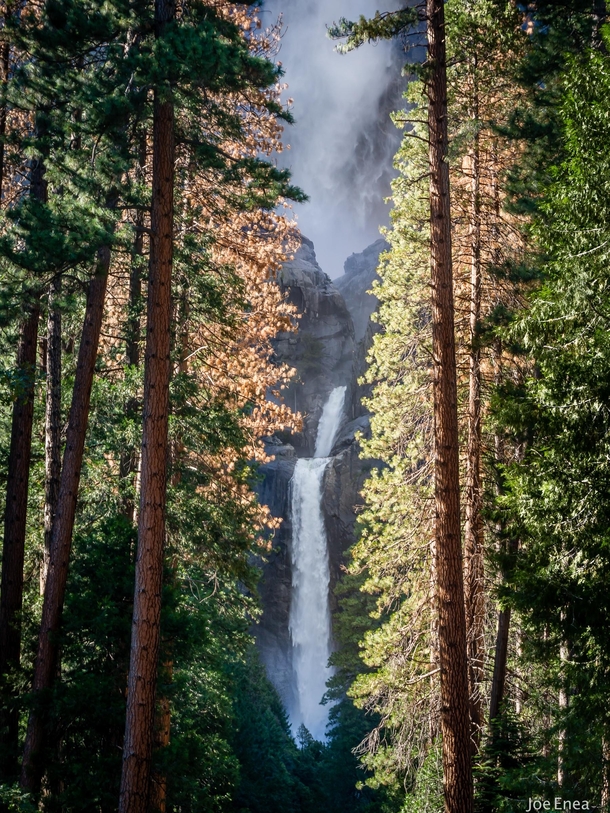 Lower Yosemite Falls 