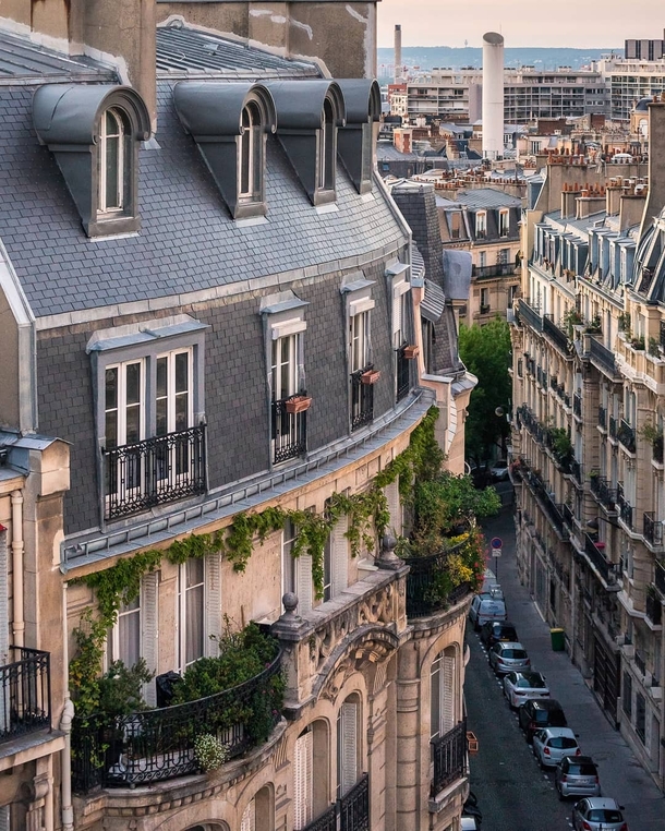 Lush balcony gardens in the th arrondissement of Paris France