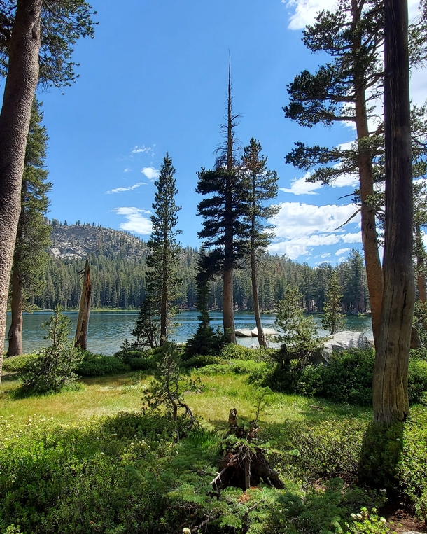Lush Dinkey Lakes Wilderness CA USA 