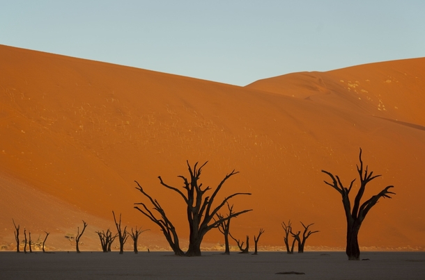 Magical Namibia Looks like the backdrop of an old disney cartoon 
