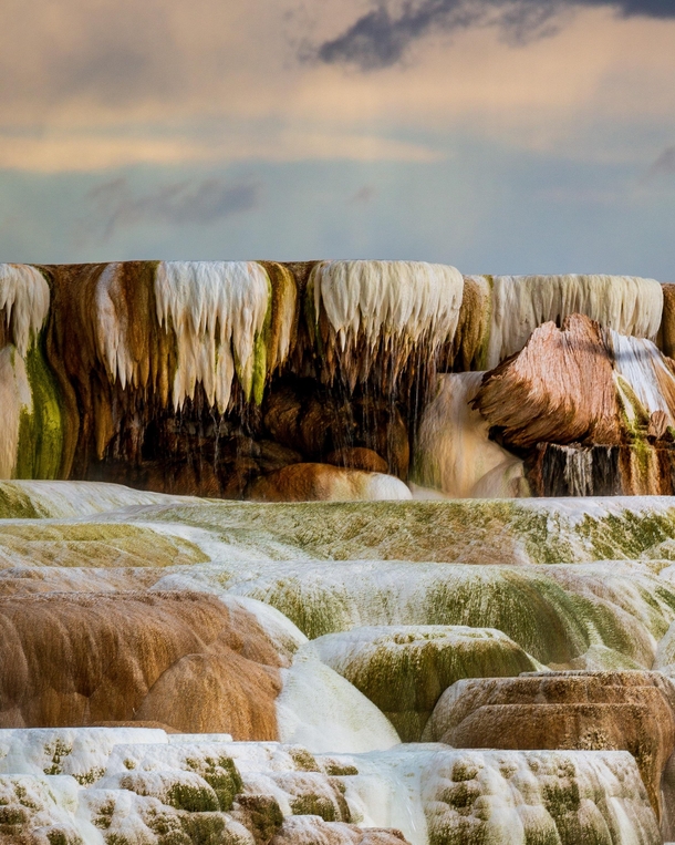 Mammoth hot springs at sunset like another planet - Yellowstone National Park  IG travlonghorns