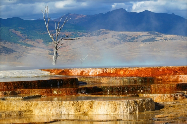 Mammoth Hot Springs Yellowstone  by Jason Patrick Ross