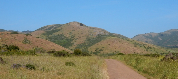 Marin Headlands Northern California May   After just a few days without rain the hills begin the transition from green to brown 