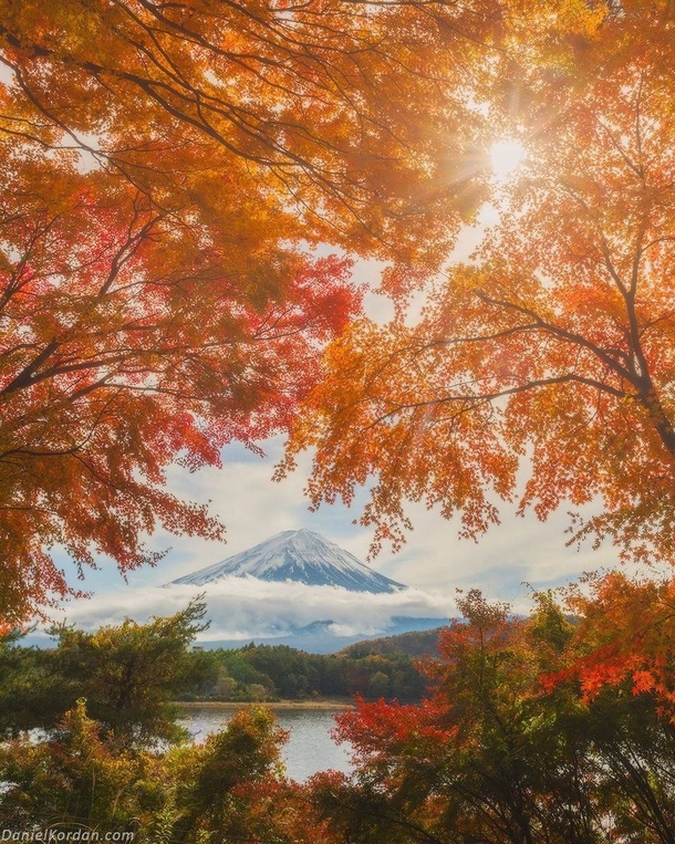 Marvelous Mount Fuji 