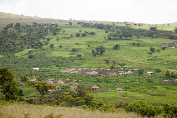 Masai village near NgoroNgoro Crater in Tanzania 