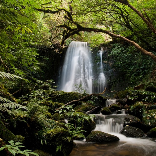 Matai Falls New Zealand 