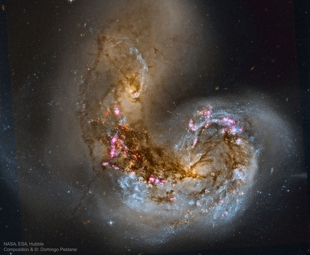 Merging galaxies NGC  and NGC  in the middle of a starburst phase in which the collision of massive clouds of gas and dust with entangled magnetic fields has triggered rapid star formation They are about  million light-years away in the constellation Corv