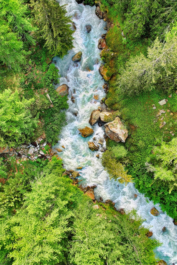 Mesmerizing river and green forest in Val Ferret in Italy near the Mont Blanc Mountain 