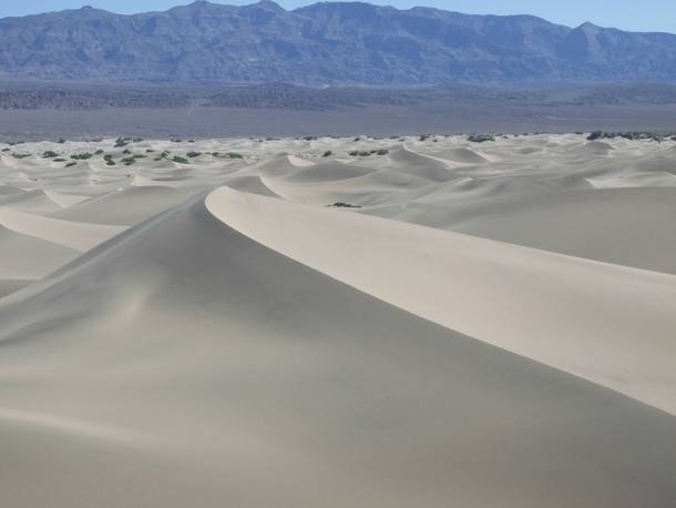 Mesquite Flat Sand Dunes Death Valley California x