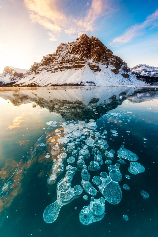 Methane gas bubbles trapped in Bow Lake Canada  by Mike Mezeul II