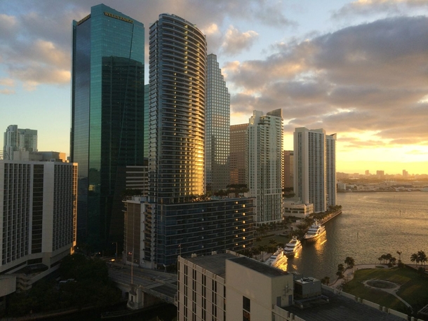 Miami this morning  OC