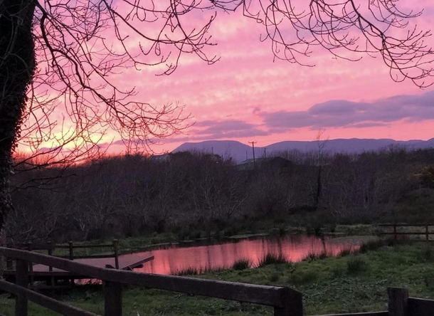 Might be a bit basic compared to the other beautiful posts Ive seen but beautiful pink sky in the south of Ireland