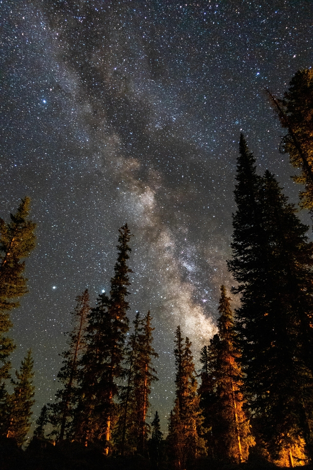 Milky Way above the forest in the Uinta Mountains Utah 