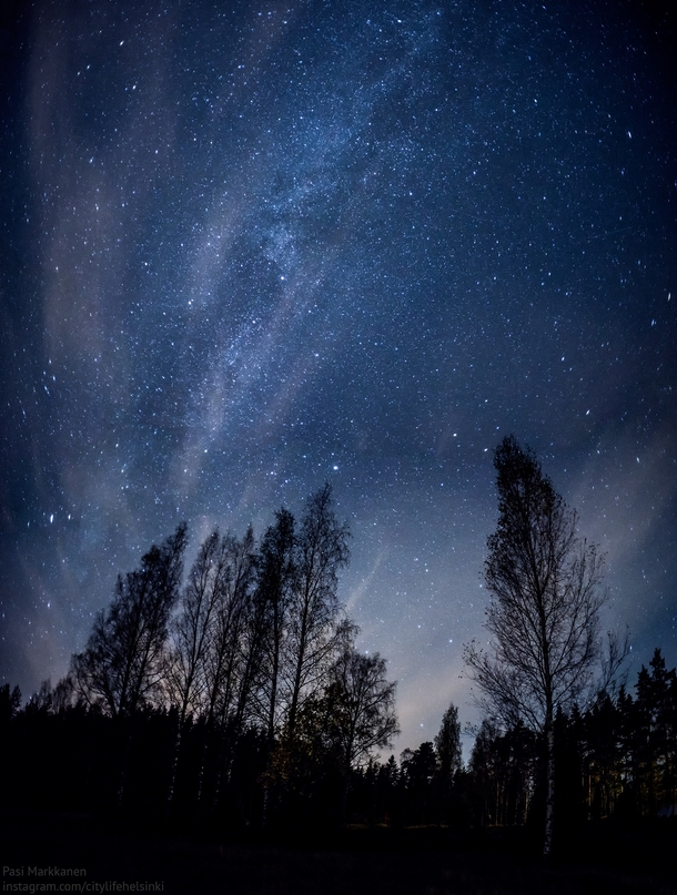 Milky way above the trees 