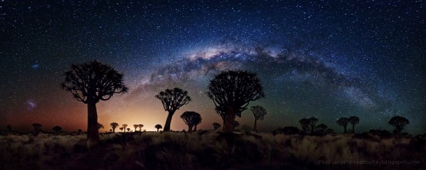 Milky Way Over Quiver Tree Forest Southern Namibia 