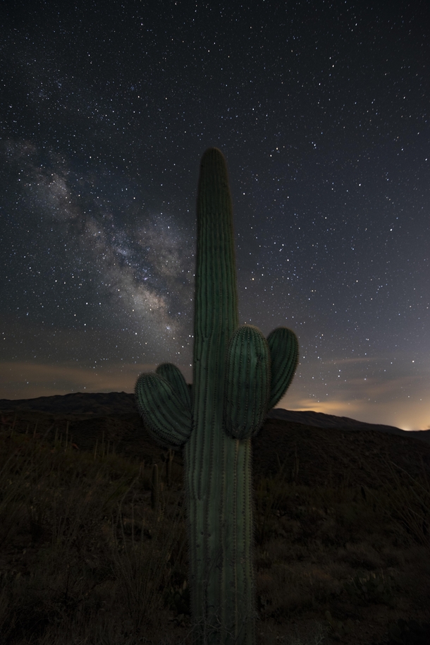 Milky Way over Tucson Arizona  feat Saguaro Cactus 